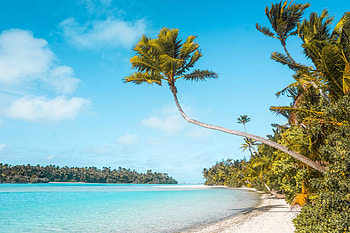 Cook Islands, Plantiful travels, Exotic flora, Tropical paradise HD wallpaper