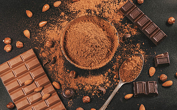 cocoa, chocolate, sweets, ground cocoa, chocolate bar, chocolate production, chocolate concepts HD wallpaper