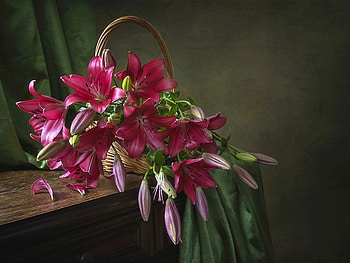 Still life with purple lilies, Busket, Summer, Bouquet, Lilies HD wallpaper