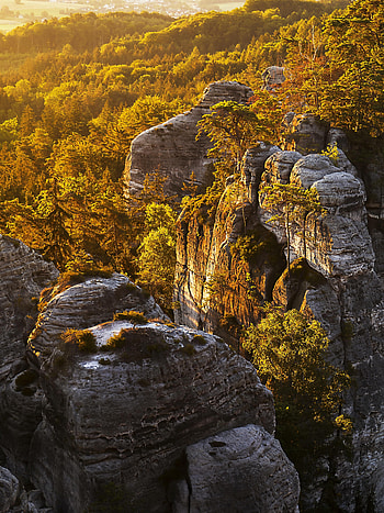 Nature, Trees, Stones, Sky, Bush, Rocks HD phone wallpaper