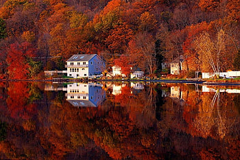 Autumn red, white, contrast, reflected in water, trees, autumn, houses, red leaves HD wallpaper