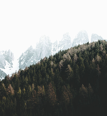 Dolomites, autumn, trees HD phone wallpaper