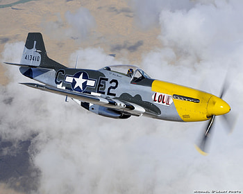 mustangs gone wild, 5, 1, p, d HD wallpaper