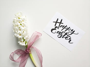 White hyacinth with ribbon and Happy Easter card on a white background. HD wallpaper
