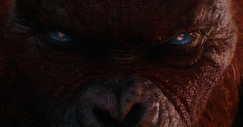 Godzilla vs Kong Empire, movie, Godzilla x Kong: The New Empire HD wallpaper