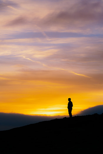 Sunset, Sky, Dark, Silhouette, Privacy, Seclusion, Loneliness HD phone wallpaper