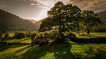 Irish countryside , Stunning landscapes, Captivating views, Serene beauty HD wallpaper