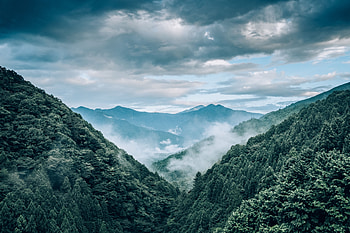 Landscape, Nature, Trees, Mountains, View From Above, Fog HD wallpaper