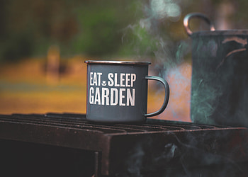 Words, Miscellanea, Miscellaneous, Cup, Inscription, Camping, Campsite, Mug HD wallpaper