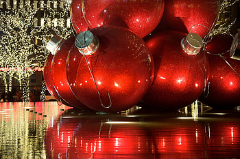 Reflections Of Christmas, trees, holidays, xmas, christmas HD wallpaper