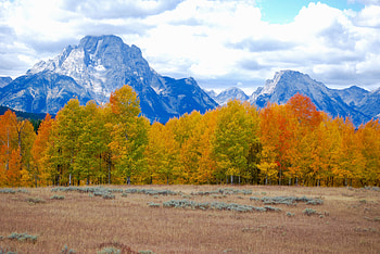 Nature, Trees, Mountains, Autumn HD wallpaper