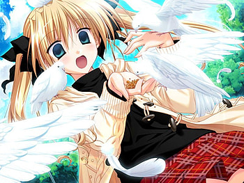 Hina Odamaki, aster, blong hair, anime girl, pigeons, blue eyes, anime, school girl HD wallpaper