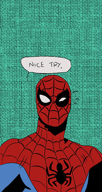 Nice try, marvel, superheroes, spiderman, spider, no way home HD phone wallpaper