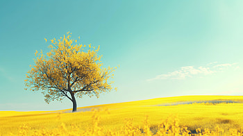 Golden Autumn Tree, tree HD wallpaper