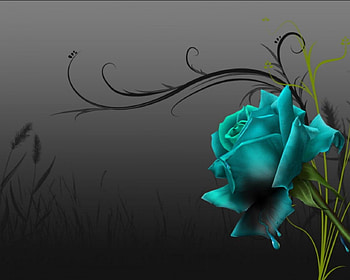 Green rose, rose, abstract, bright colors, texture, flowers, green rose art HD wallpaper