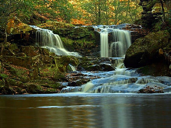 Water Ark Force, falls, trees, water, rock HD wallpaper