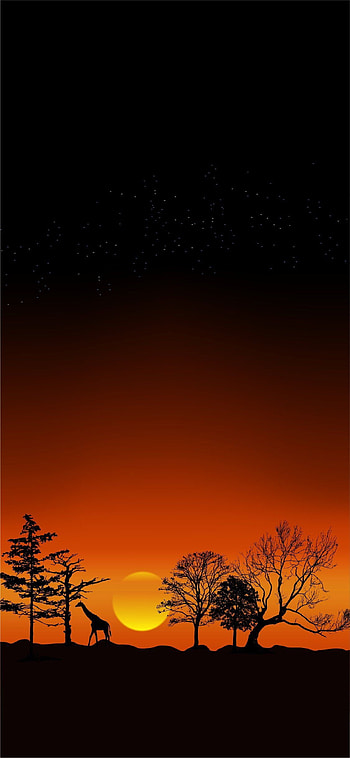 Africa , Stunning backgrounds, African aesthetics, Home screen inspiration HD phone wallpaper