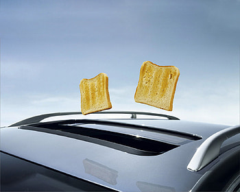 What Life is All About, breakfast, toast, toaster, bread, food HD wallpaper
