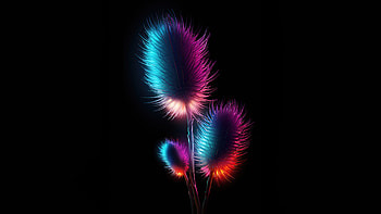 Cgi Flowers, artist, artwork, digital-art, behance, dark, black, oled HD wallpaper