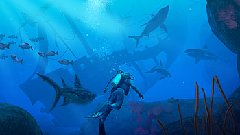Endless Ocean HD wallpaper