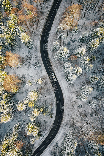 Nature, View From Above, Road, Forest, Car, Machine HD phone wallpaper