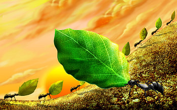 green leaf, 3d leaf, leaf, green HD wallpaper