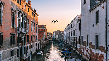 Venice Canals, venice, architecture, canals, streets, water HD wallpaper
