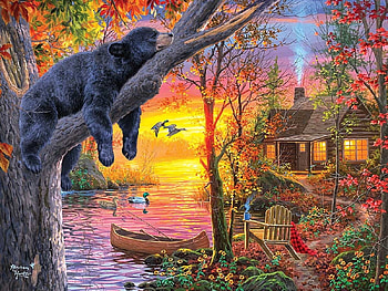 sleeping on the tree, landscape, bears, nature, blackbear HD wallpaper