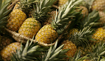 Delicious pineapple treats, Refreshing summer fruit, Tropical paradise, Exotic dessert HD wallpaper