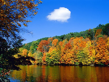 Landscape, Rivers, Autumn HD wallpaper