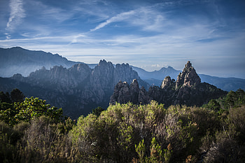 Landscape, Nature, Bush, Rocks HD wallpaper