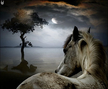 Horse at night, night, animal, horse, moon, run, lake HD wallpaper