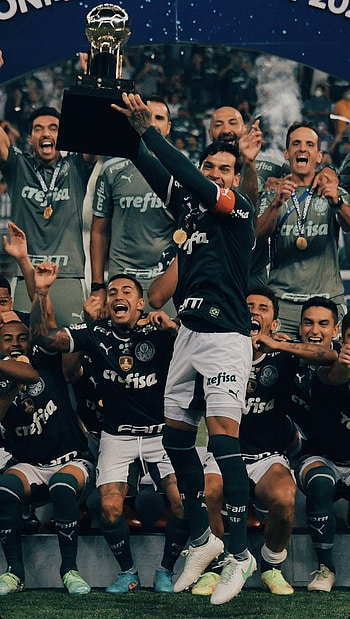 Palmeiras, Brasil HD phone wallpaper