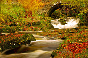 Beautiful Stream, colorful, beautiful, , stream HD wallpaper