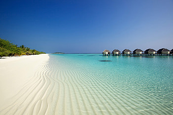 Nature, Beach, Sand, Palms, Ocean, Bungalow HD wallpaper