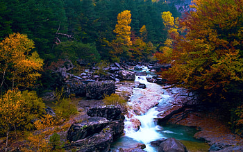 Waterfalls in Ordesa National Park, Spain, leaves, river, trees, colors, rocks, stones HD wallpaper