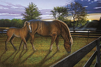 With Mom in the Paddock, trees, grass, horses, animals HD wallpaper