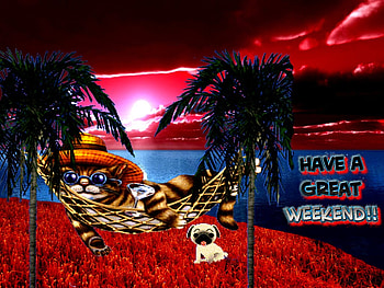 WEEKEND, dog, island, color, blackout0005, 2012, nature, mountains HD wallpaper