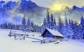 Mountain, Forest, Cabin, Winter, , House, Landscape, Snow, Sun, Sunshine, Tree HD wallpaper