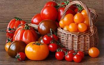 Tomato , backgrounds, Visual aesthetics, designs HD wallpaper