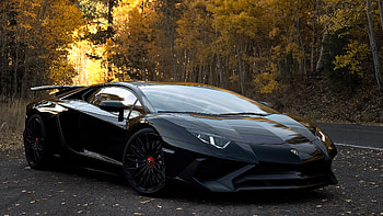 Black Lamborghini Aventador HD wallpaper