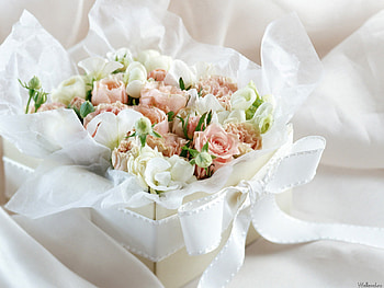 Plants, Flowers, Roses, Bouquets HD wallpaper