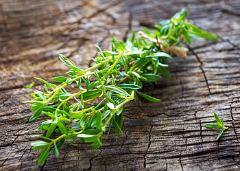 Summer savory vs winter savory, Herbal showdown, Spice comparison HD wallpaper