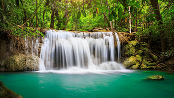 Waterfall beauty, Rainforest wonder, Mesmerizing , Natural allure HD wallpaper