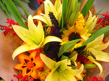 bouquet, color, graphy, colors, beautiful, nice, flower, cool, flowers HD wallpaper