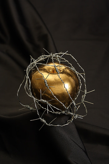 Apple, Gold, Drops, Miscellanea, Miscellaneous, Barbed Wire HD phone wallpaper
