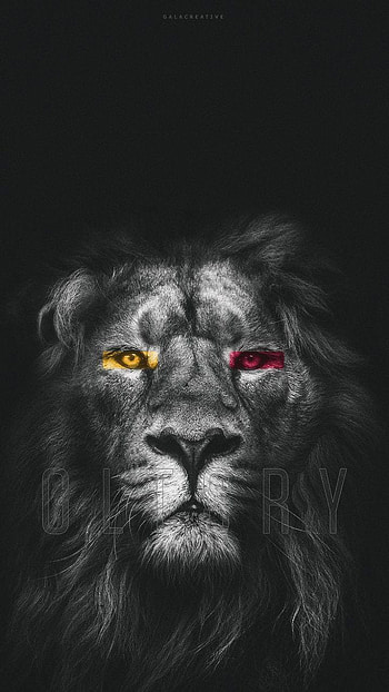 Aslan Galatasaray HD phone wallpaper