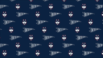 UConn Athletics Ultra : Embrace the Spirit of Sports, Sports, UConn Athletics HD wallpaper