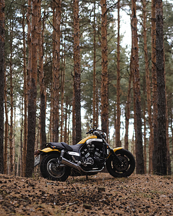 Trees, Motorcycles, Yamaha, Side View, Motorcycle, Bike HD phone wallpaper