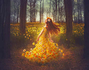Flower Girl, trees, girl, flowers, abstract HD wallpaper